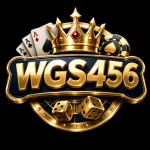 Wgs456 Game Download (online earning) for New Players in Pakistan